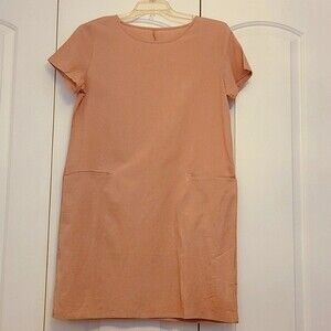 Mauve Shift Dress Size M